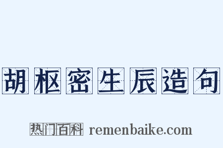 胡枢密生辰造句是什么意思的图片